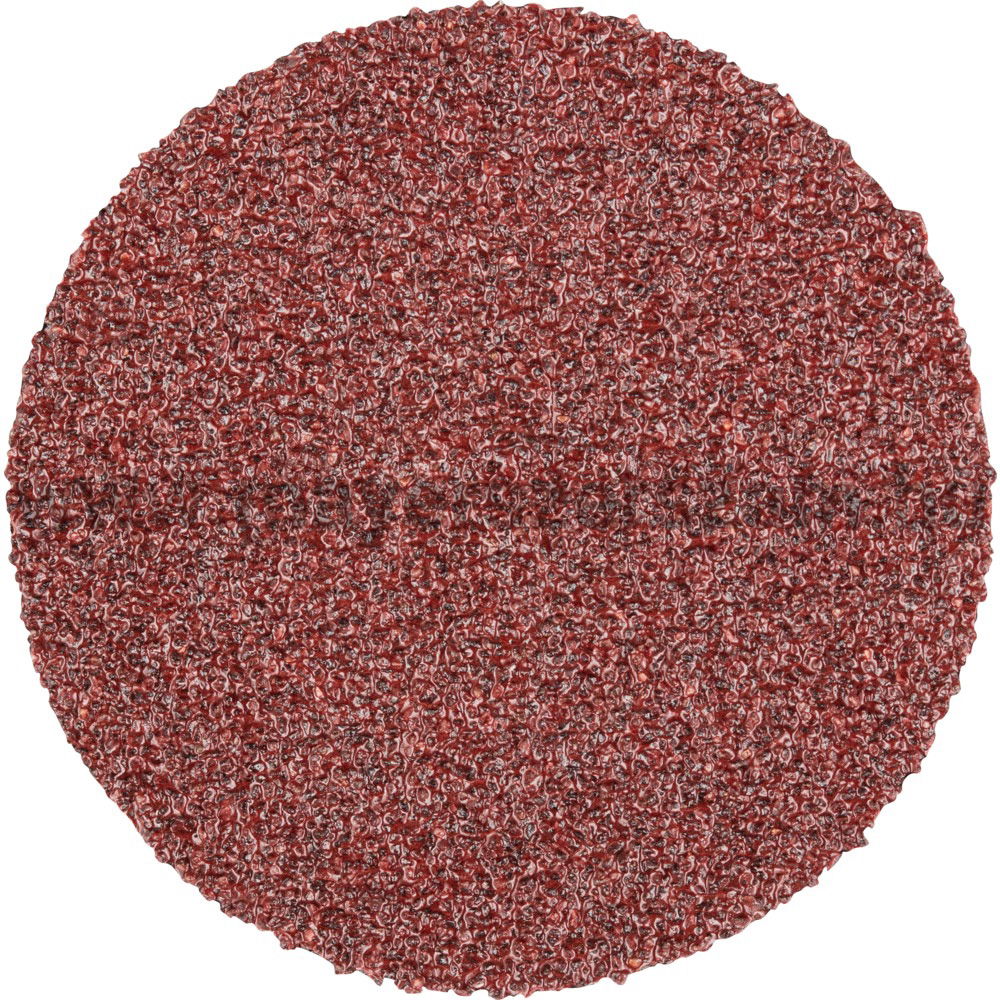 COMBIDISC-CSISZOLÓLAP  CD 25 A 80 FORTE termék fő termékképe