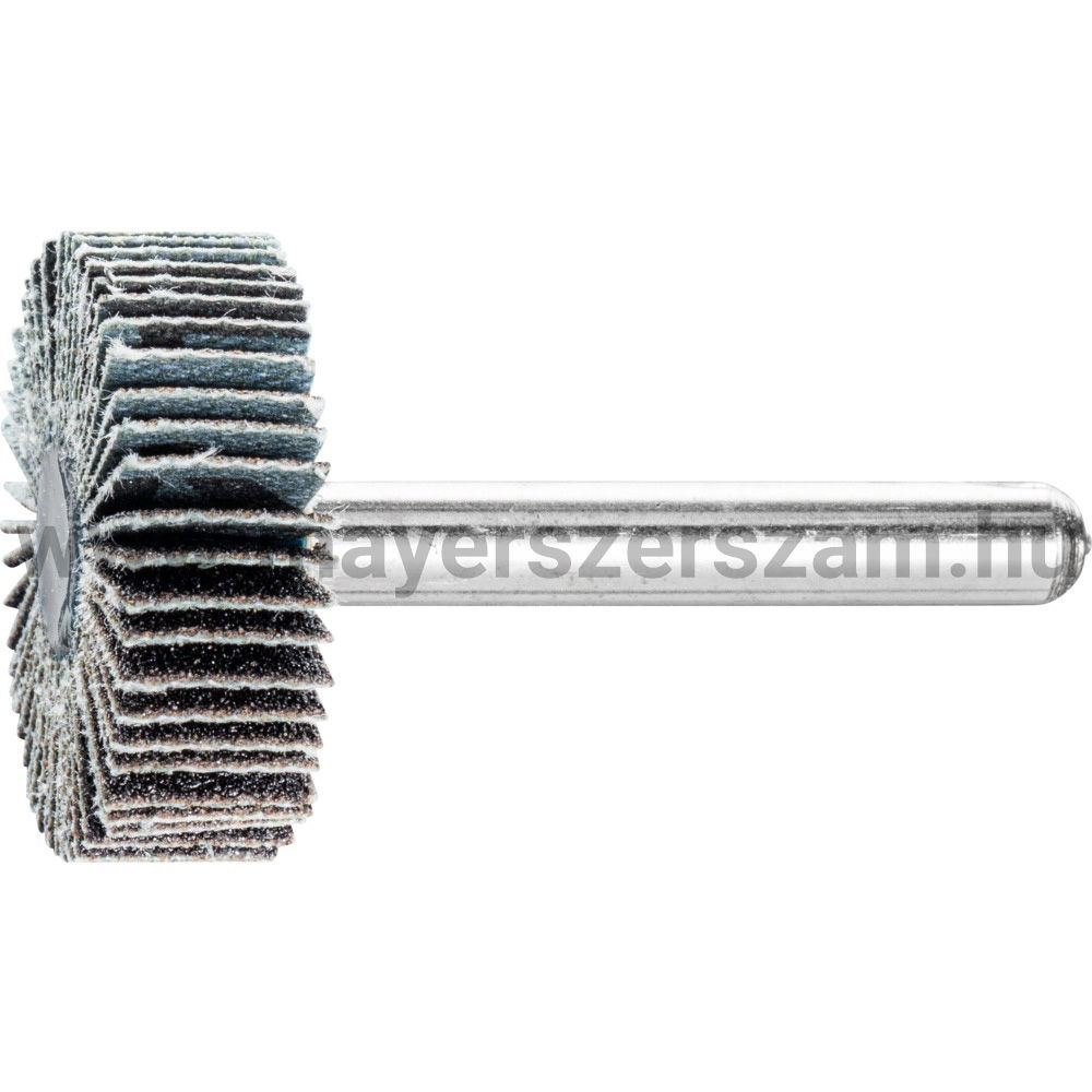 LAMELLÁS CSAPOS CSISZOLÓ F 3010/6 C 120 SIC termék fő termékképe