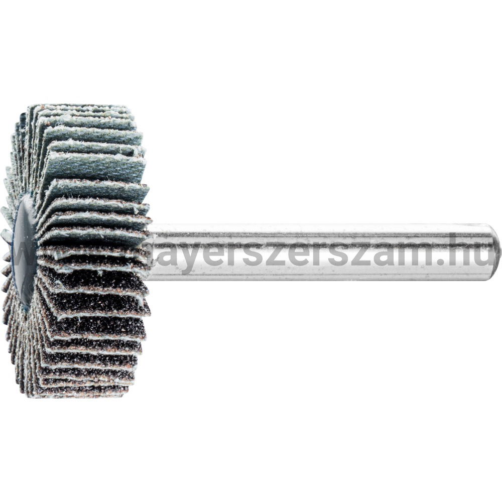 LAMELLÁS CSAPOS CSISZOLÓ F 3010/6 C  80 SIC termék fő termékképe