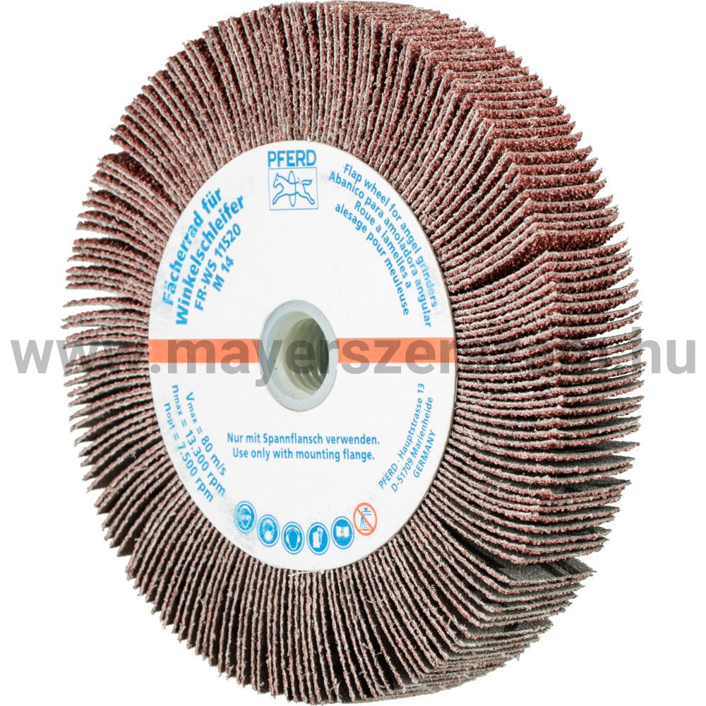 LAMELLÁS CSISZ.-KORONG(SATURNUS) FR WS 11520 M14 A  40 termék fő termékképe