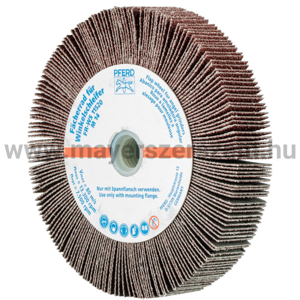 LAMELLÁS CSISZ.-KORONG(SATURNUS) FR WS 11520 M14 A  60 termék fő termékképe