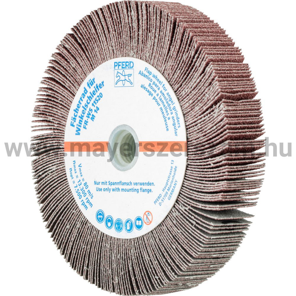 LAMELLÁS CSISZ.-KORONG(SATURNUS) FR WS 11520 M14 A  80 termék fő termékképe