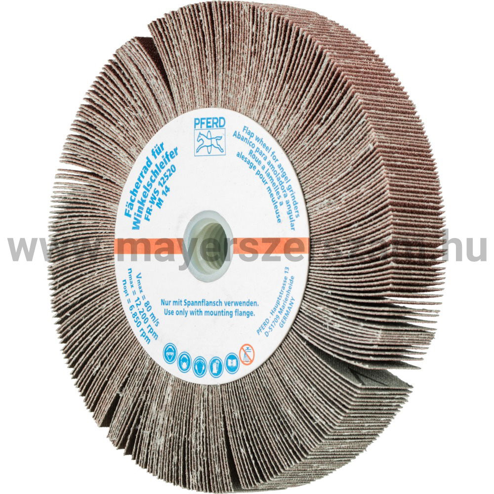 LAMELLÁS CSISZ.-KORONG(SATURNUS) FR WS 12520 M14 A 120 termék fő termékképe