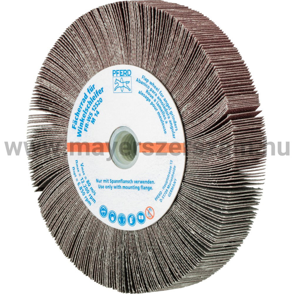 LAMELLÁS CSISZ.-KORONG(SATURNUS) FR WS 12520 M14 A 180 termék fő termékképe