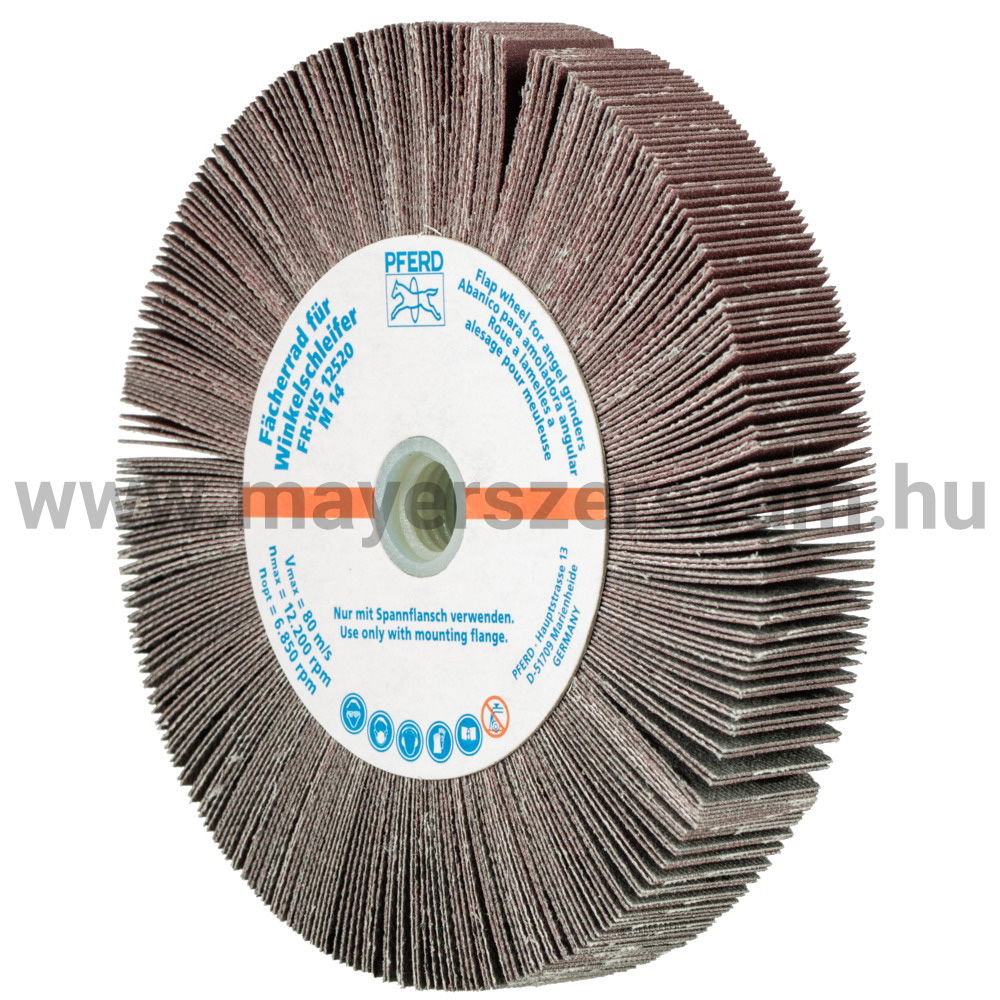 LAMELLÁS CSISZ.-KORONG(SATURNUS) FR WS 12520 M14 A 320 termék fő termékképe