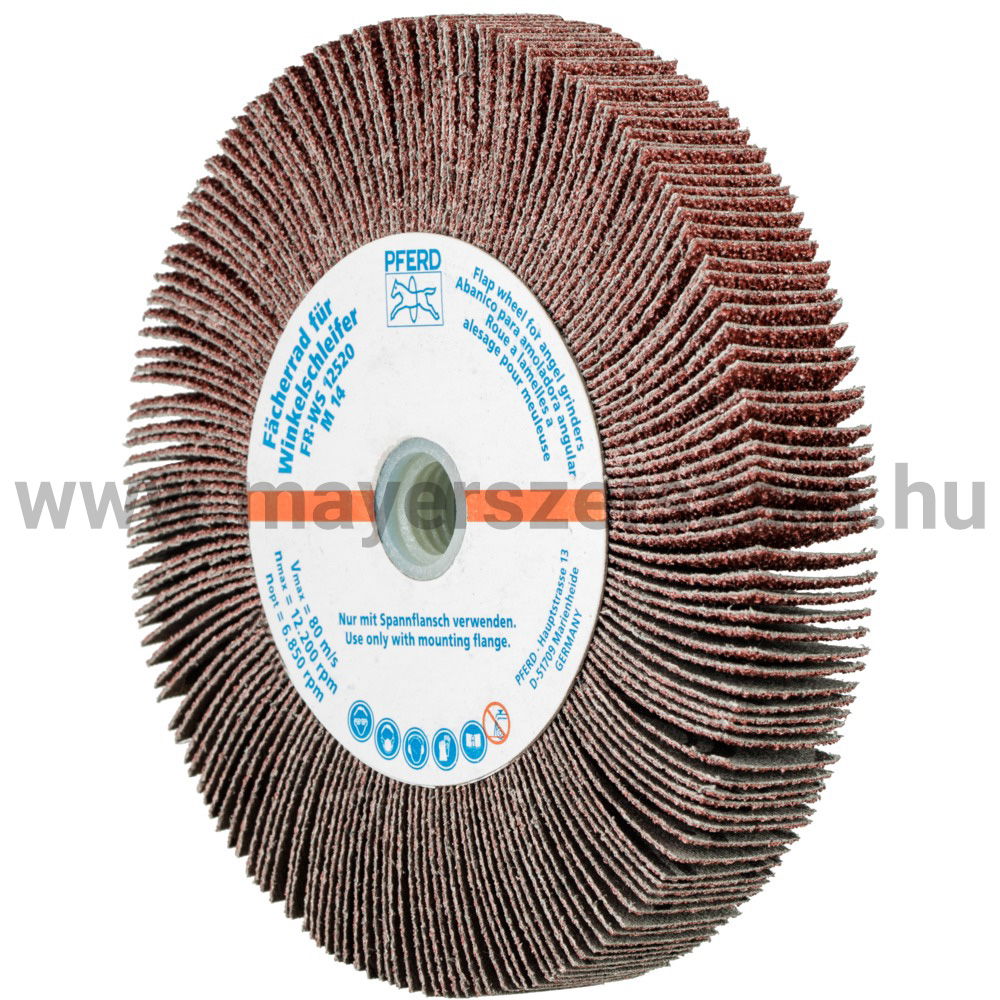 LAMELLÁS CSISZ.-KORONG(SATURNUS) FR WS 12520 M14 A  40 termék fő termékképe