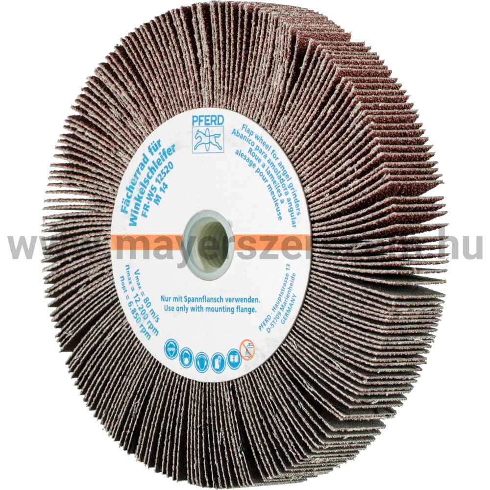 LAMELLÁS CSISZ.-KORONG(SATURNUS) FR WS 12520 M14 A  60 termék fő termékképe