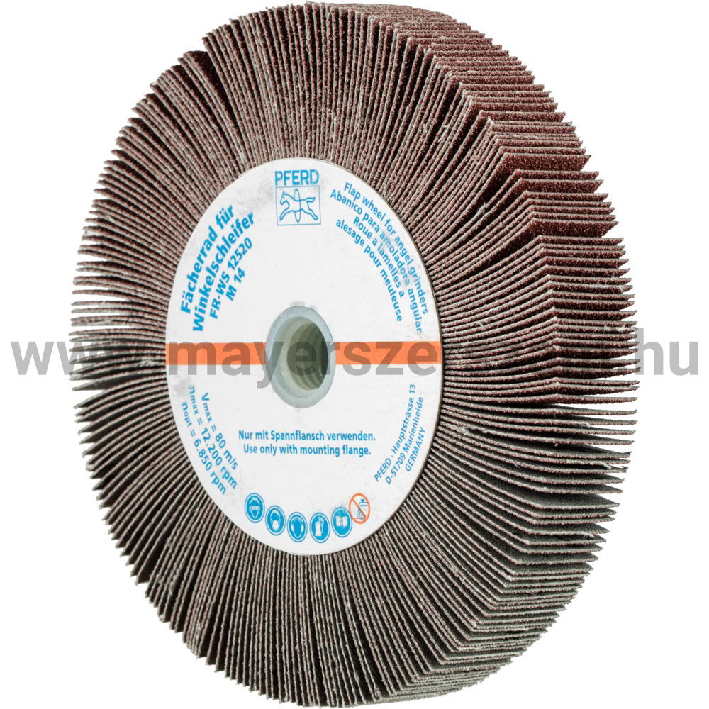 LAMELLÁS CSISZ.-KORONG(SATURNUS) FR WS 12520 M14 A  80 termék fő termékképe